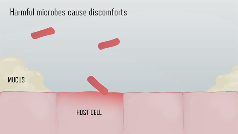 Phase 3 - harmful microbes cause discomforts