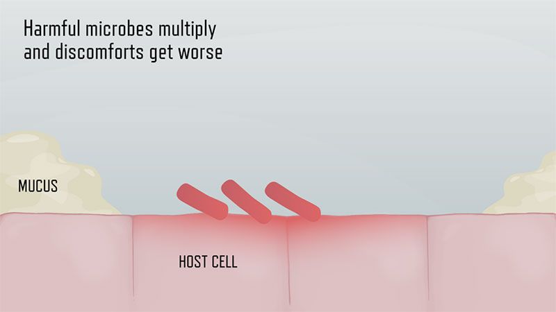 Phase 4 - Harmful microbes multiply and discomforts get worse